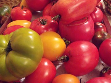 tomates variees2